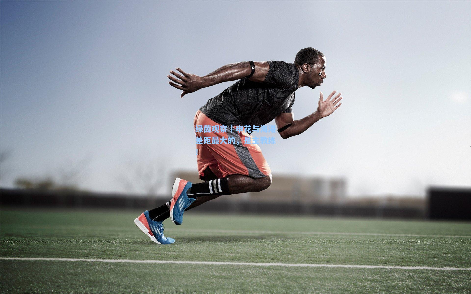 绿茵观察｜申花与海港差距最大的，是主教练！