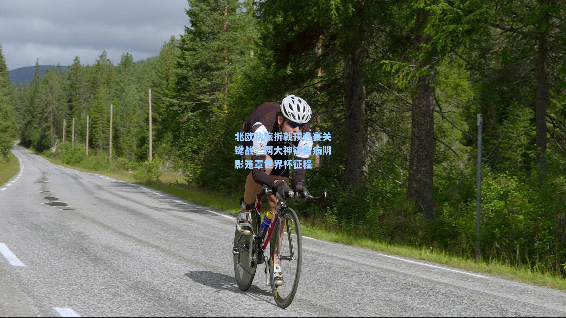 北欧劲旅折戟预选赛关键战，两大神锋伤病阴影笼罩世界杯征程